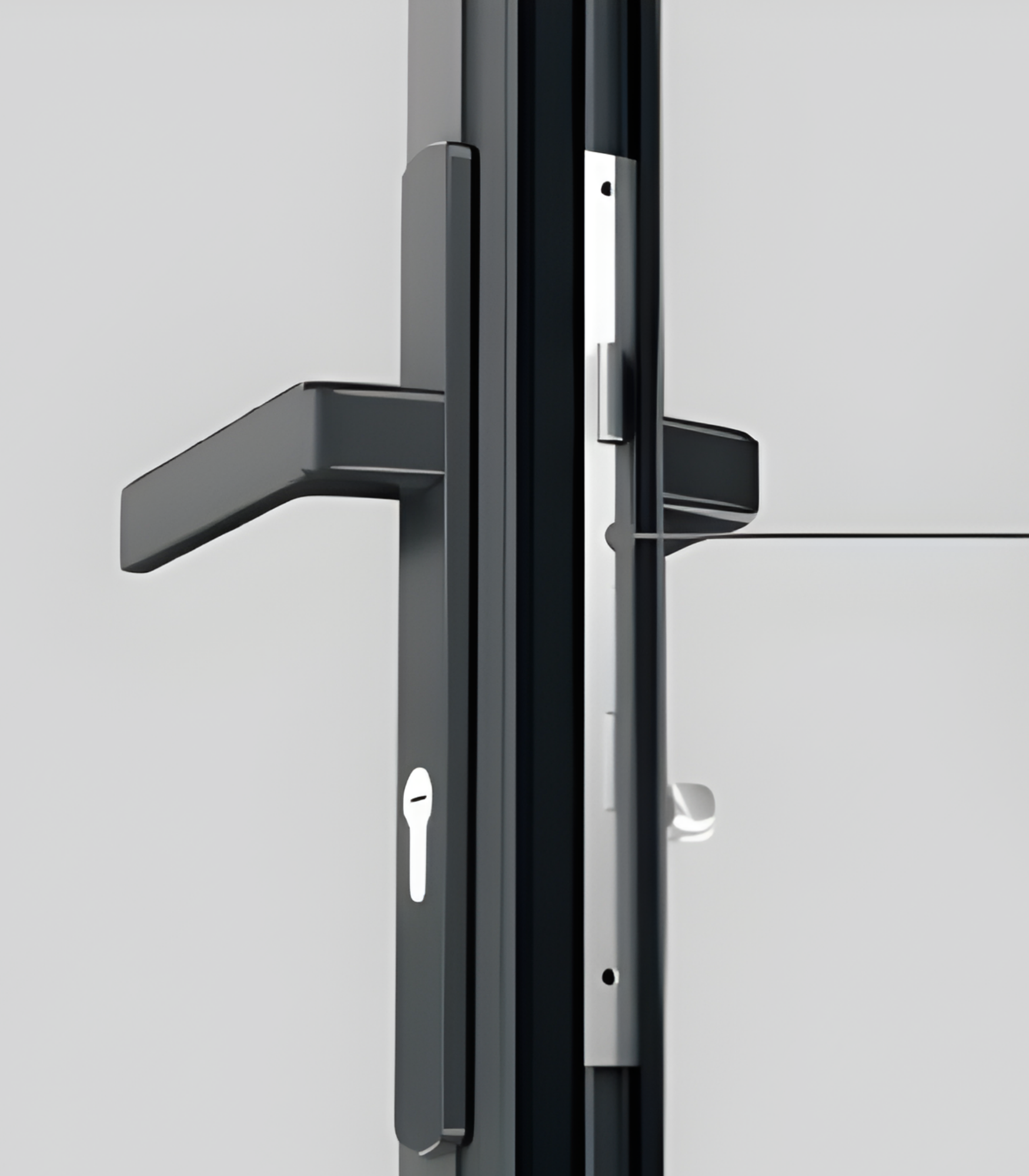 VLX 100 Swing / Entry Door in Los Angeles, CA | Westlight Windows Los Angeles - detail 5